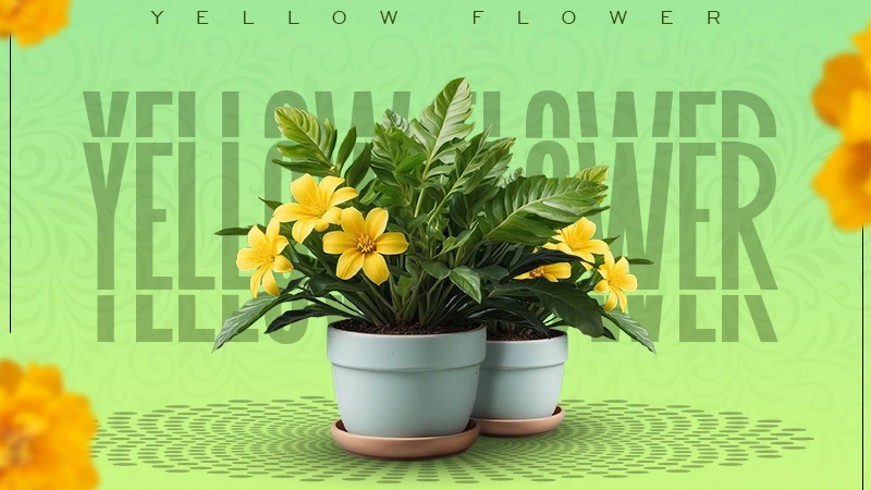 yellow flower