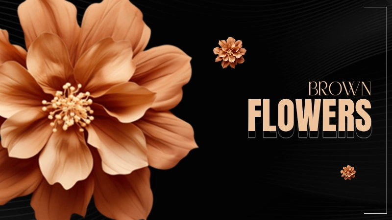 flowersbrown