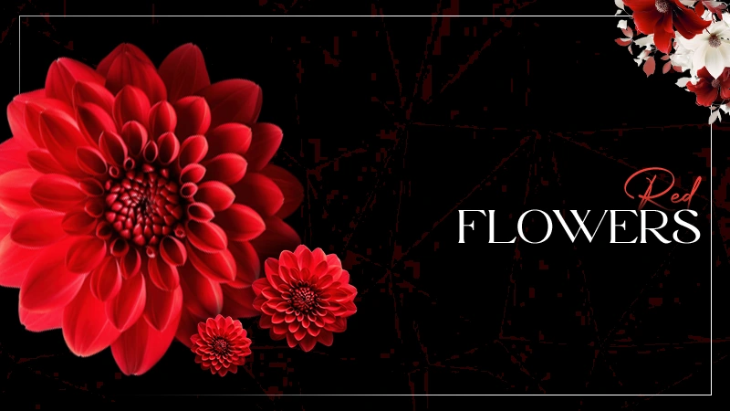 red colour flowers