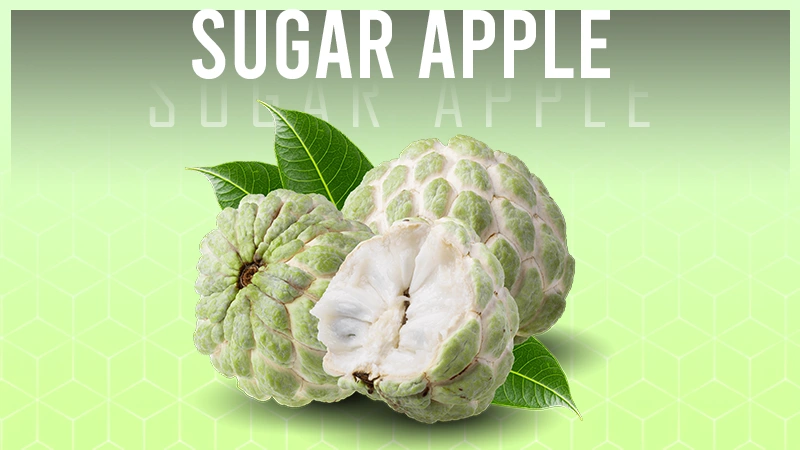 Annona Squamosa