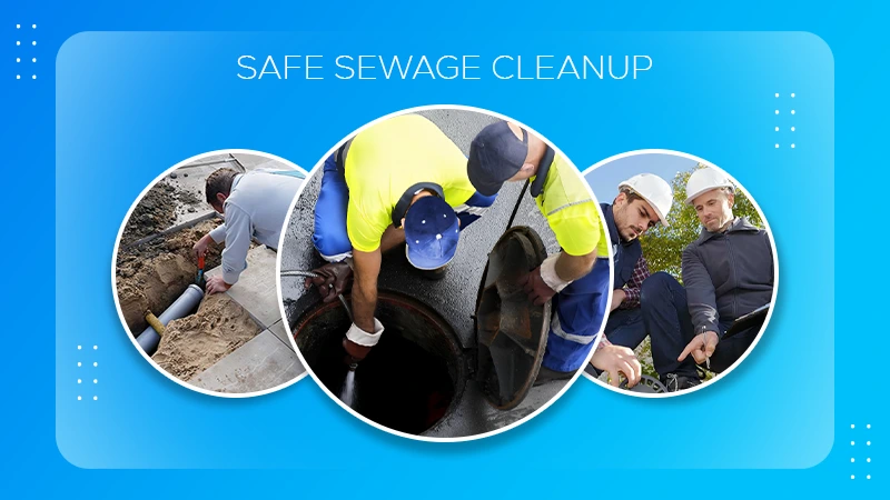 Safe Sewage Cleanup