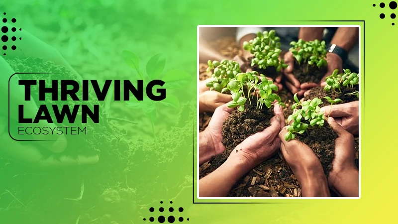 Thriving Lawn Ecosystem