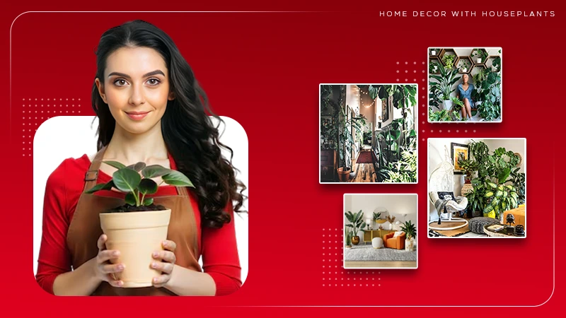 Home Decor with Houseplants