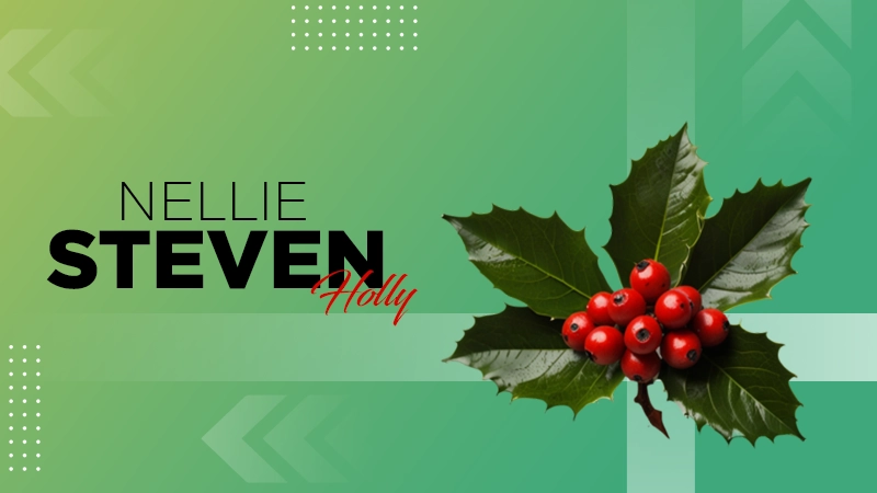 Nellie Steven Holly