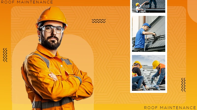 Roof Maintenance