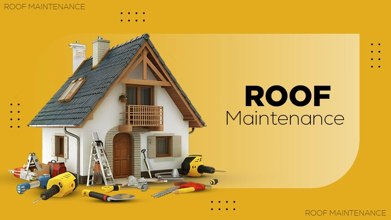 Roof Maintenance and repair