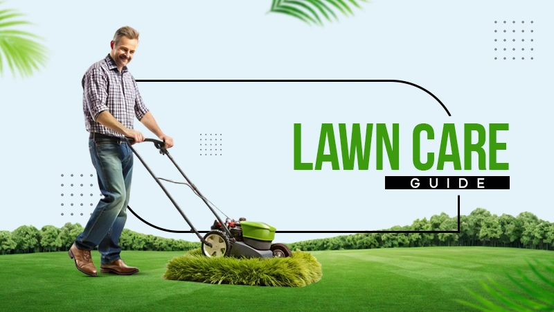 simple lawn care guide