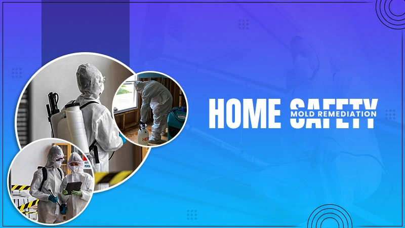 mold remediation home safety
