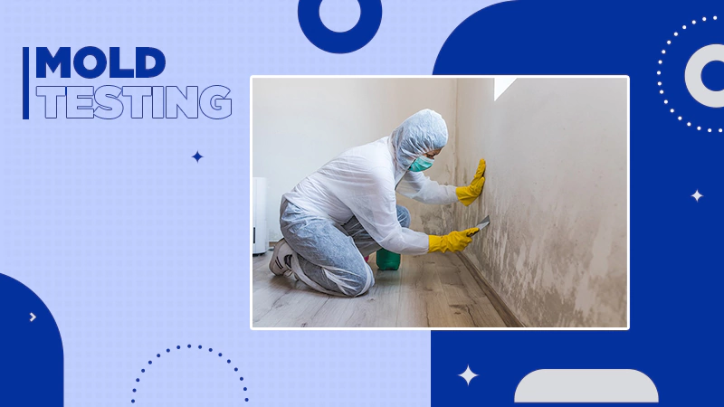 mold testing