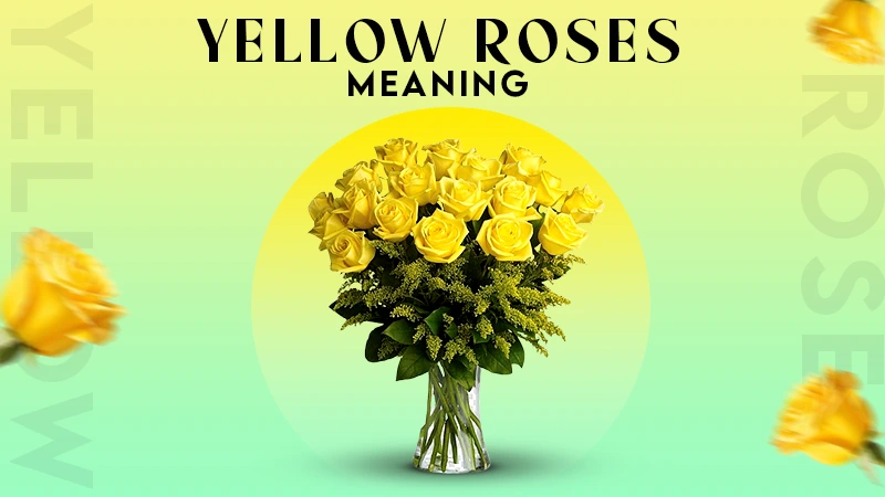 yellow roses meaning