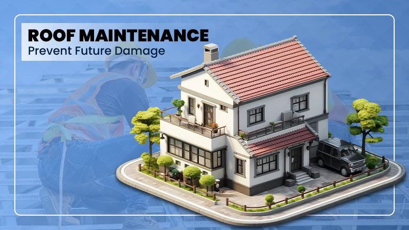 Roof Maintenance