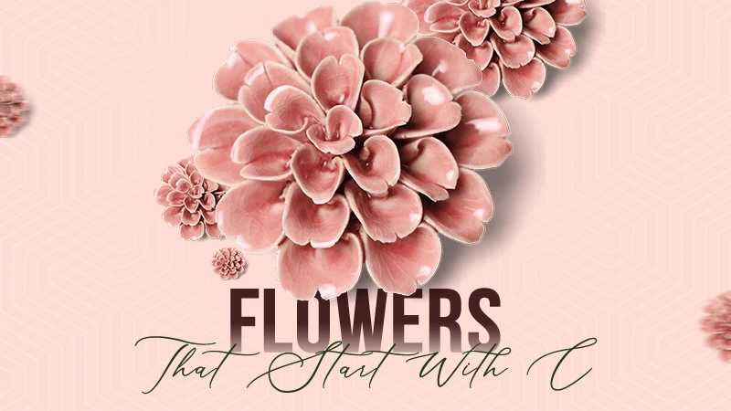 Flowers c