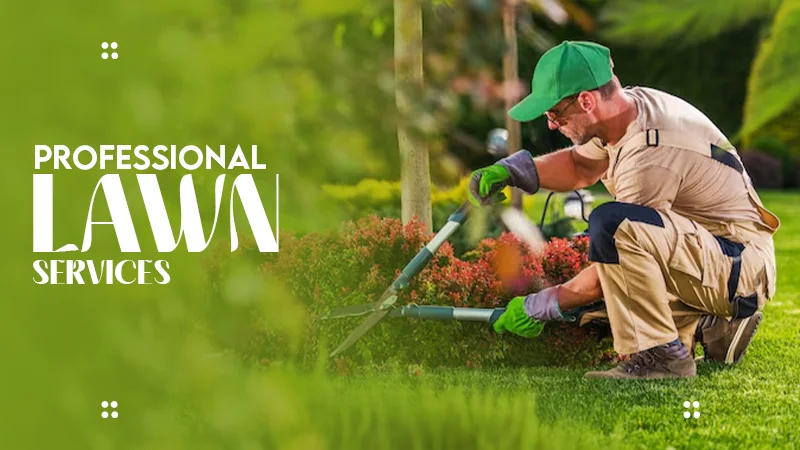 professinoal Lawn services
