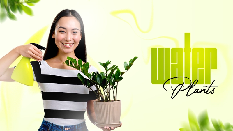 water plants