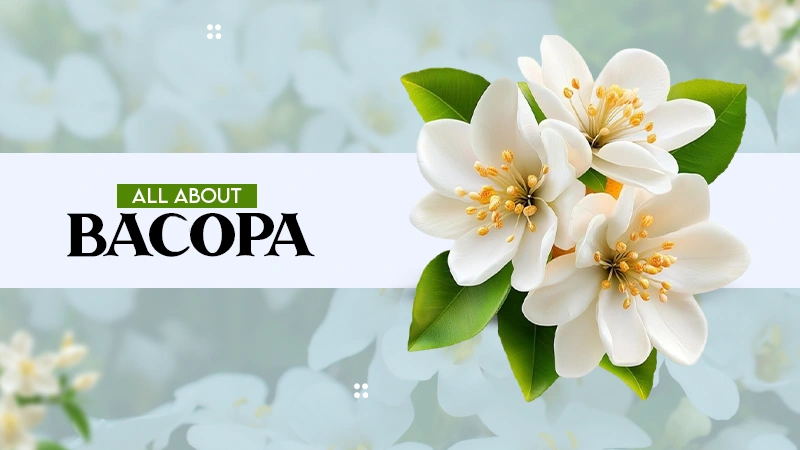 All about bacopa