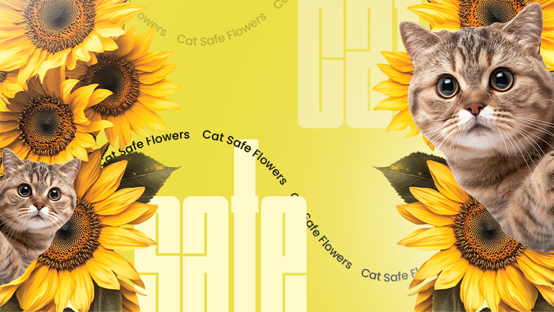 flowers cat safe