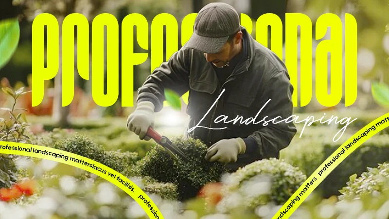 professional landscaping