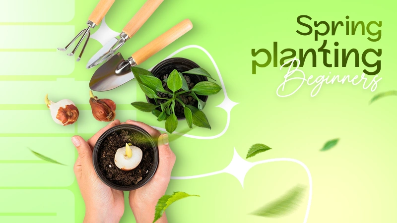 spring planting beginners