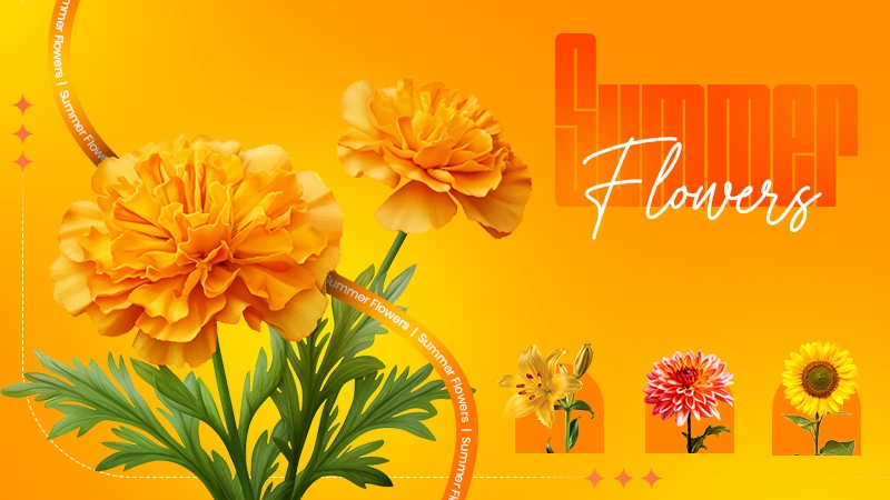 summer flowers