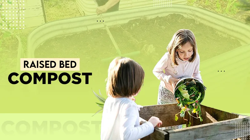 raised bed compost